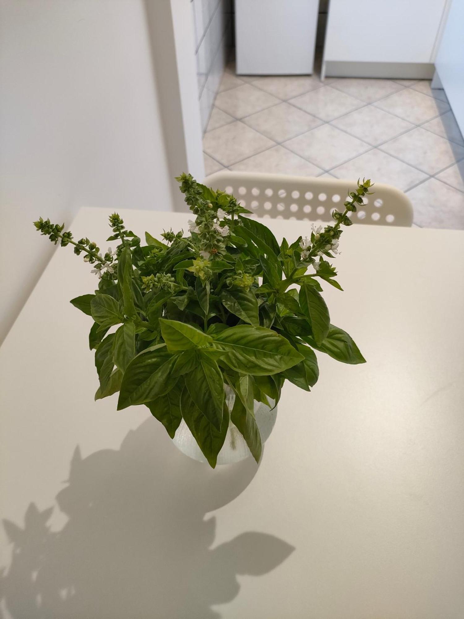 Lilla Housing Apartment Castellammare di Stabia Exterior photo